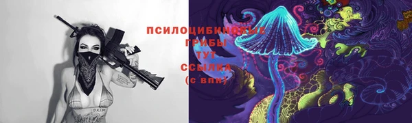 PSILOCYBIN Балабаново