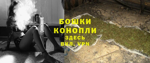 PSILOCYBIN Балабаново