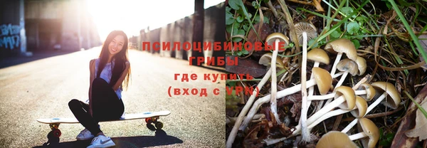 PSILOCYBIN Балабаново