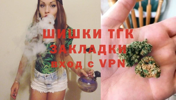 PSILOCYBIN Балабаново