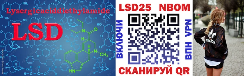 блэк спрут как войти  Зеленогорск  ЛСД экстази кислота 